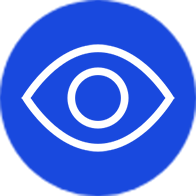 Visibilidad en Tiempo Real